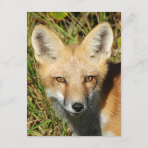 Postkarte für klassisches Foto