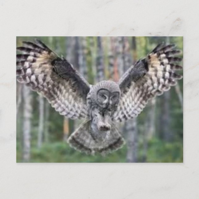 Postkarte für klassisches Foto (Vorderseite)