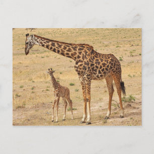 Postkarte für klassisches Foto