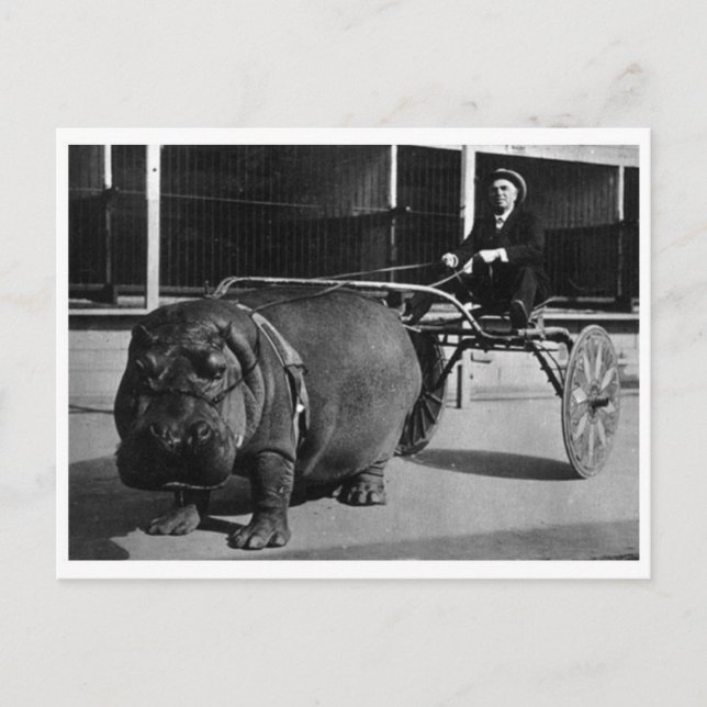 Postkarte für klassisches Foto (Vorderseite)