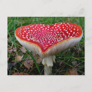 Postkarte für klassisches Foto