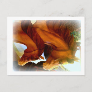 Postkarte für Pferde und Pony