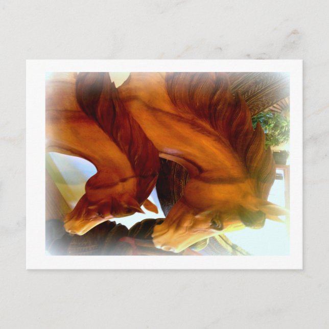 Postkarte für Pferde und Pony (Vorderseite)