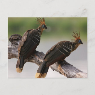 Postkarte für Reisen 10