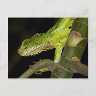 Postkarte für Reisen 12