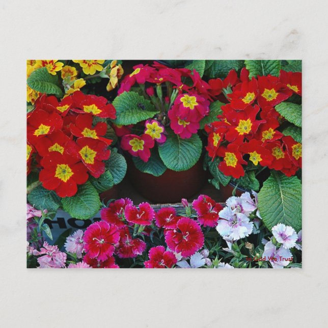 Postkarte für Reisen 4 (Vorderseite)