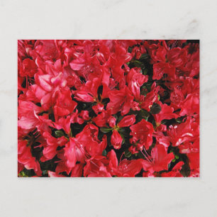 Postkarte für Reisen 5