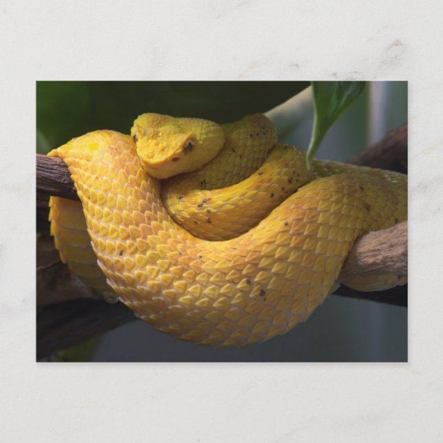 Postkarte für Reisen sammeln 2 (Vorderseite)