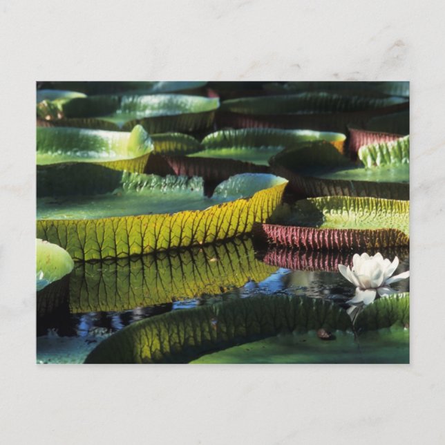 Postkarte für Reisen sammeln 7 (Vorderseite)