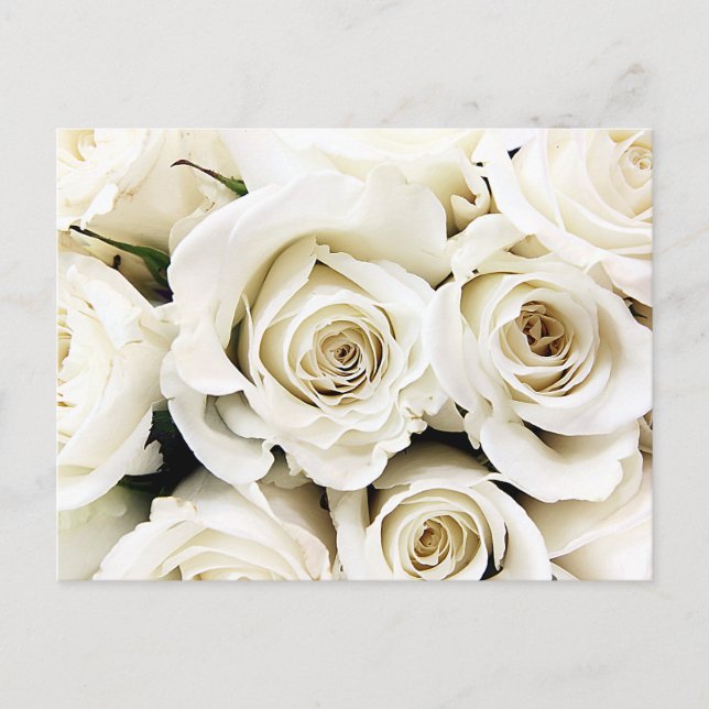Postkarte für Rosen (Vorderseite)