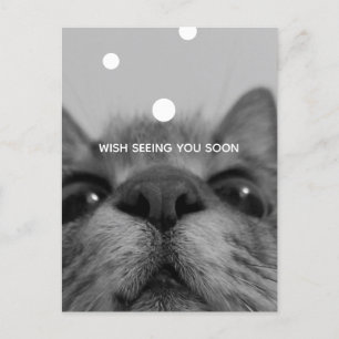 Postkarte für Schwarz und Weiß