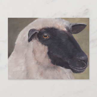 Postkarte für schwarze Schafe