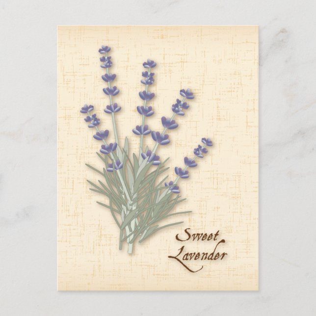 Postkarte für Sweet Lavendel anpassen (Vorderseite)