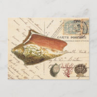 Postkarte für Vintage Conch-Muschel und Muscheln
