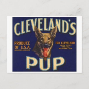 Postkarte für Vintage Produkte