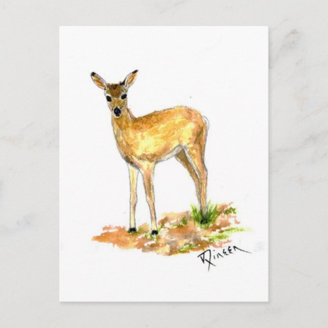 Postkarte für Wildtiere (Vorderseite)