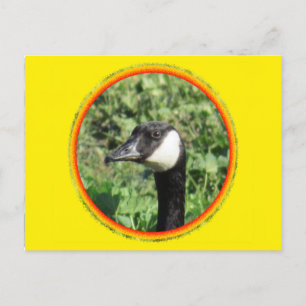 Postkarte - Gänsehaut