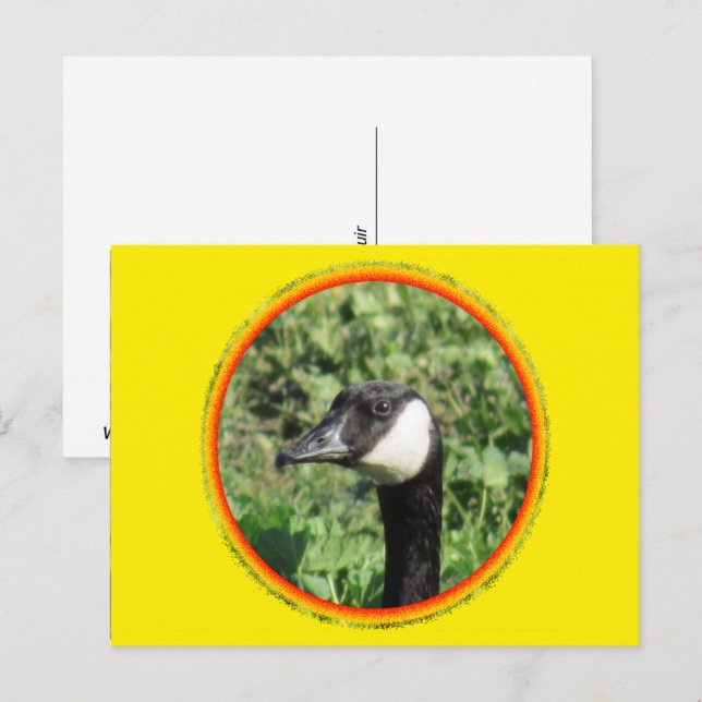 Postkarte - Gänsehaut (Vorne/Hinten)