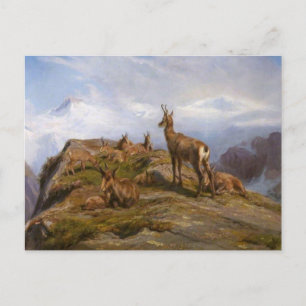 Postkarte Gemse von Rosa Bonheur