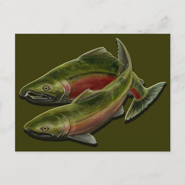 Postkarte - Gewohnte BC Wildlife Postkarten (Vorderseite)