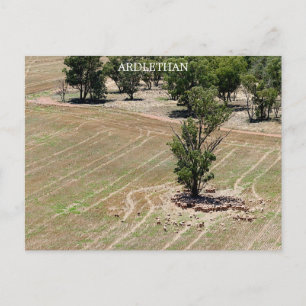 Postkarte glatte Textur