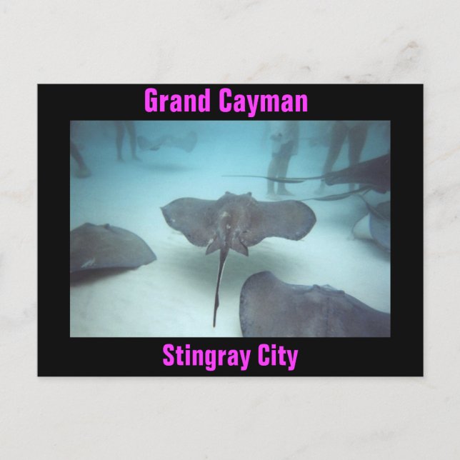 Postkarte Grand Cayman (Vorderseite)