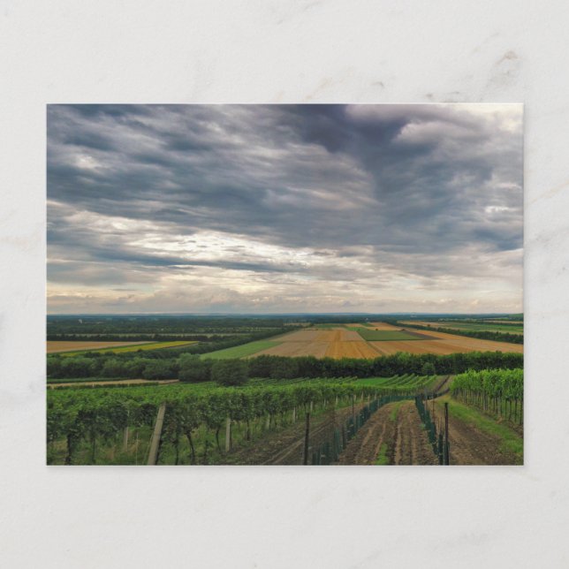 Postkarte "Griffin" (Vorderseite)