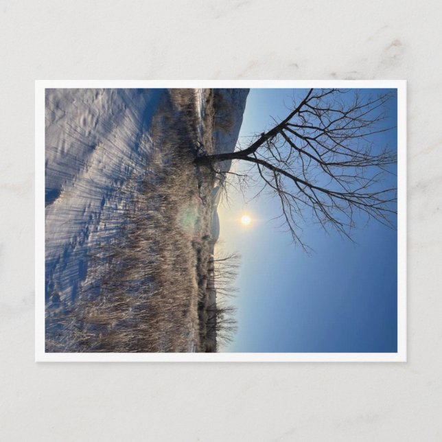 Postkarte, Größe: Standardpostkarte, Papier: Matt, Postkarte (Vorderseite)