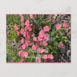 Postkarte, Größe: Standardpostkarte, Papier: Matt, Postkarte