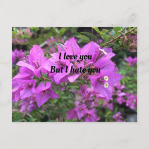 Postkarte, Größe: Standardpostkarte, Papier: Semi- Postkarte