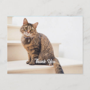 Postkarte, Größe: Standardpostkarte, Papier: Semi- Postkarte