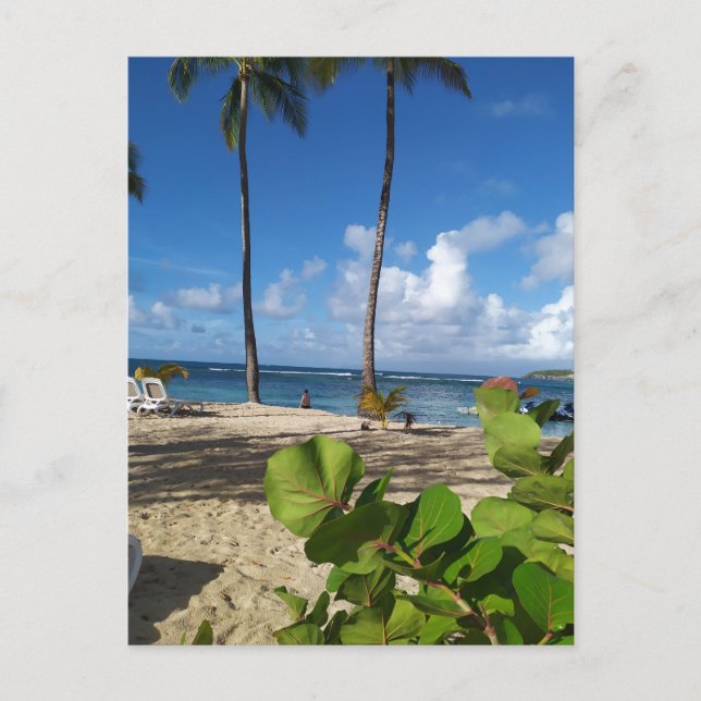 Postkarte Guadeloupe (Vorderseite)