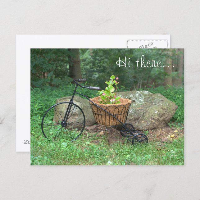 Postkarte Hallo. Fahrradrosa Blume im Korb (Vorne/Hinten)