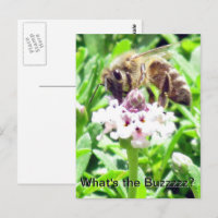 Postkarte - Honigbienenprofil