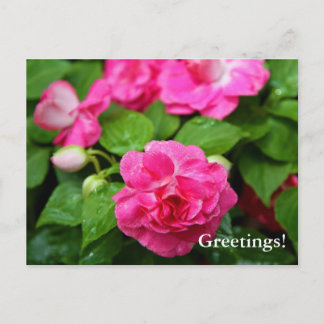 Postkarte - Hot Ticket