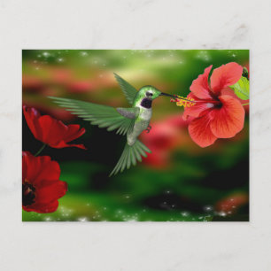 Postkarte Hummingbird