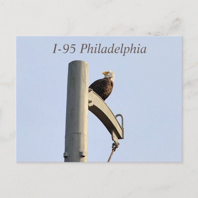 Postkarte I-95 Philadelphia Bald Eagle (Vorderseite)