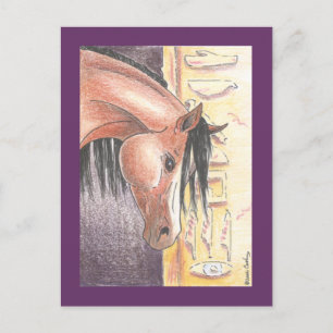 Postkarte "Ibn Denah"