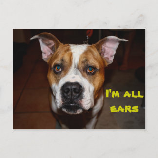 Postkarte Ich bin alle Ohren