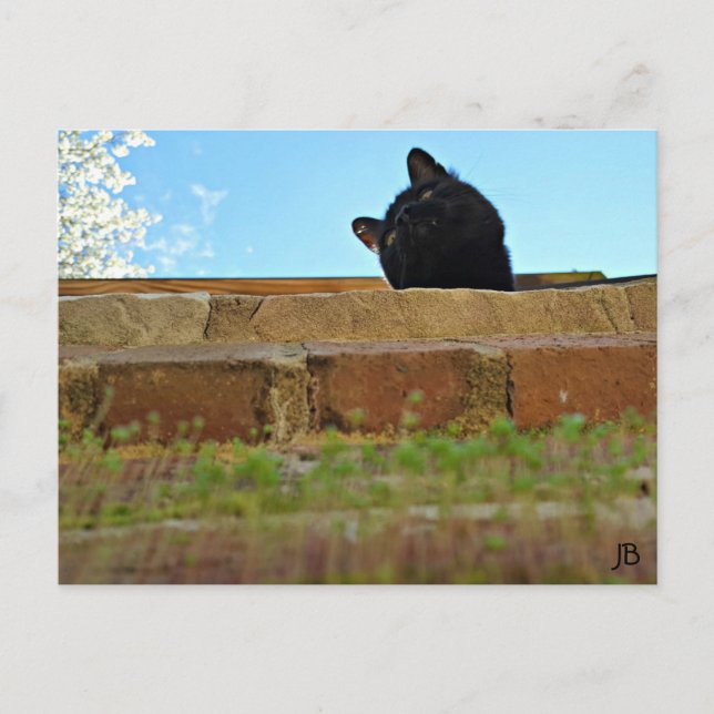 Postkarte "Jasper's Lookout" (Vorderseite)