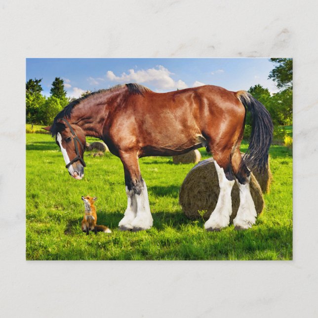 Postkarte "Justin & a Friend" (Vorderseite)