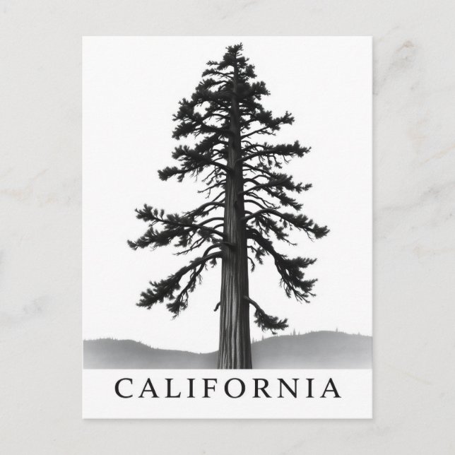 Postkarte Kalifornien (Vorderseite)