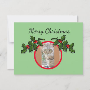 Postkarte - Katze und Weihnachten Gruß