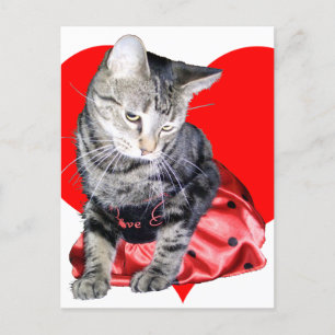 Postkarte Katzen-"Liebe-Wanze" Valentines Tages
