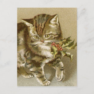Postkarte:  Kitty mit Holly Sprig Postkarte