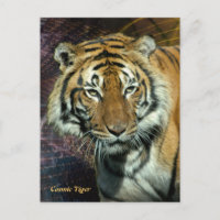 Postkarte: Kosmischer Tiger (Portrait)