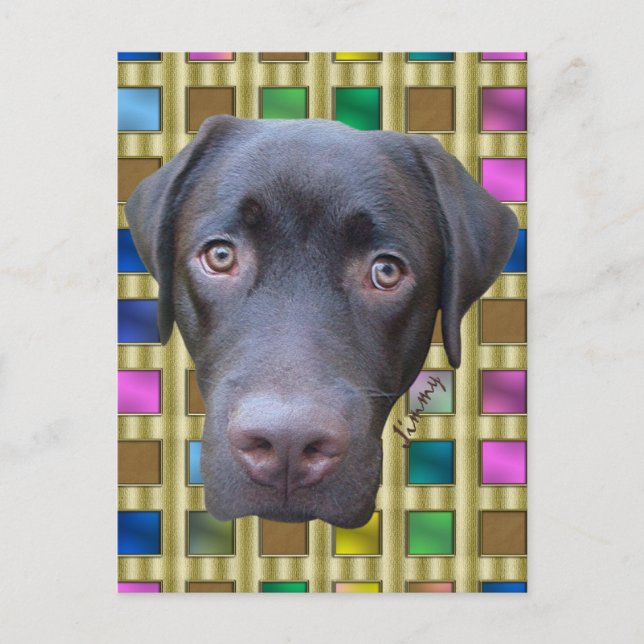 Postkarte Labrador Jimmy (Vorderseite)