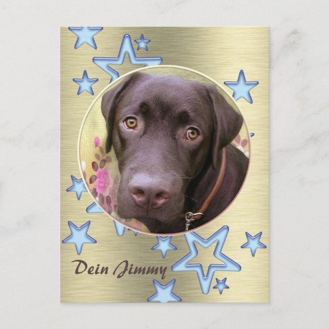 Postkarte Labrador Jimmy (Vorderseite)