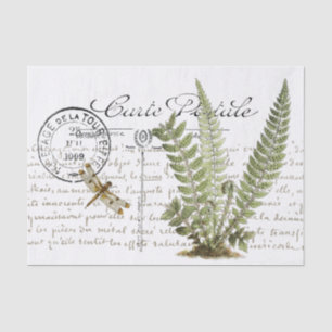 Postkarte Libelle Farn Französisch Skript Vintage Seidenpapier