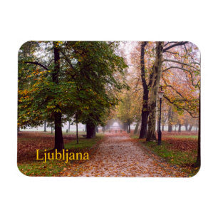 Postkarte Ljubljana Magnet